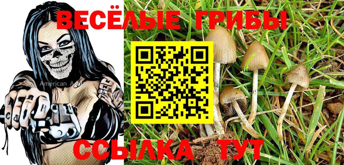Партизанск  Псилоцибиновые грибы ЛСД  Псилоцибиновые грибы Psilocybe  Вход с VPN 